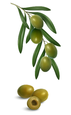 Gracias